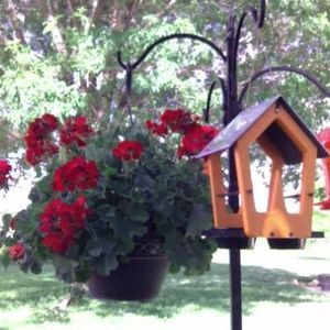 Meet your Posher, Gilbert n kathy